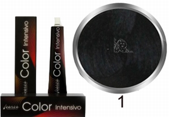 Carin Color Intensivo Nr. 1 schwarz