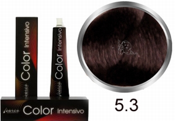 Carin Color Intensivo No. 5.3 light brown gold