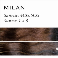 Clip-In Weft set Memory Hair 45cm. Kleur: Milan