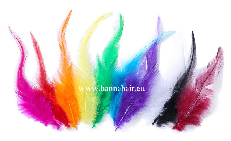 Feather pheasant, color: White